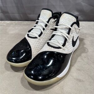 Nike Lebron Witness 3 Premium Concord